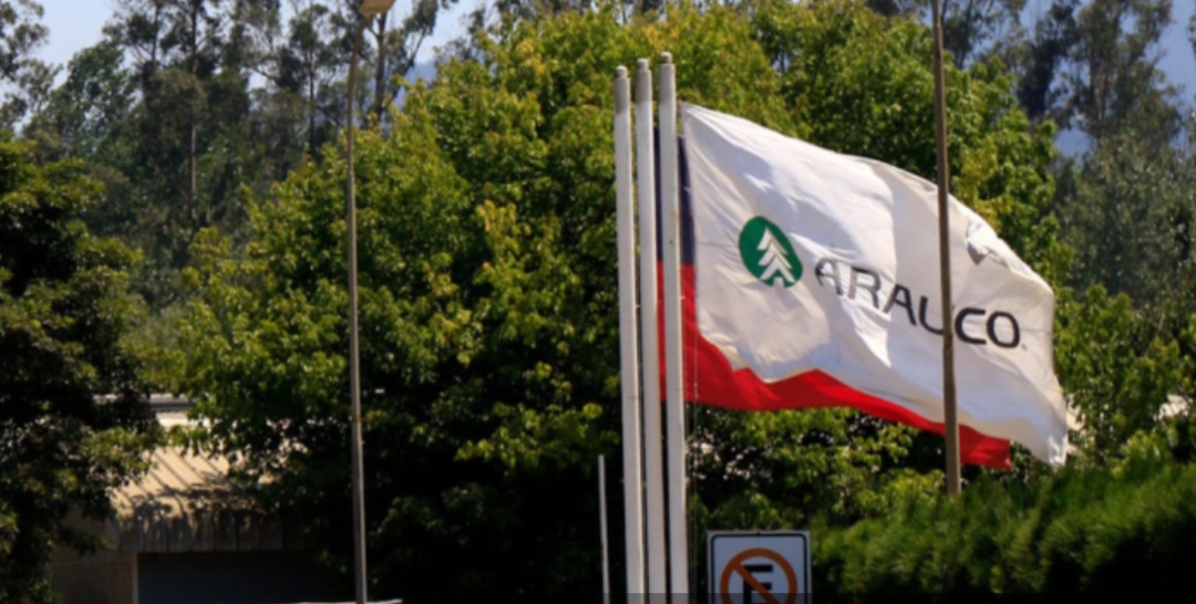 Over 90 workers left jobless after closure of Arauco's Horcones 2 sawmill