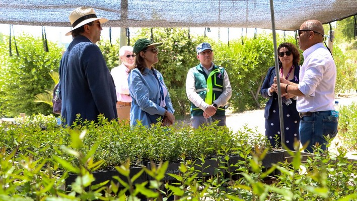 International Cooperation: Czech Republic Ambassador Appreciates Reforestation Progress in Maule