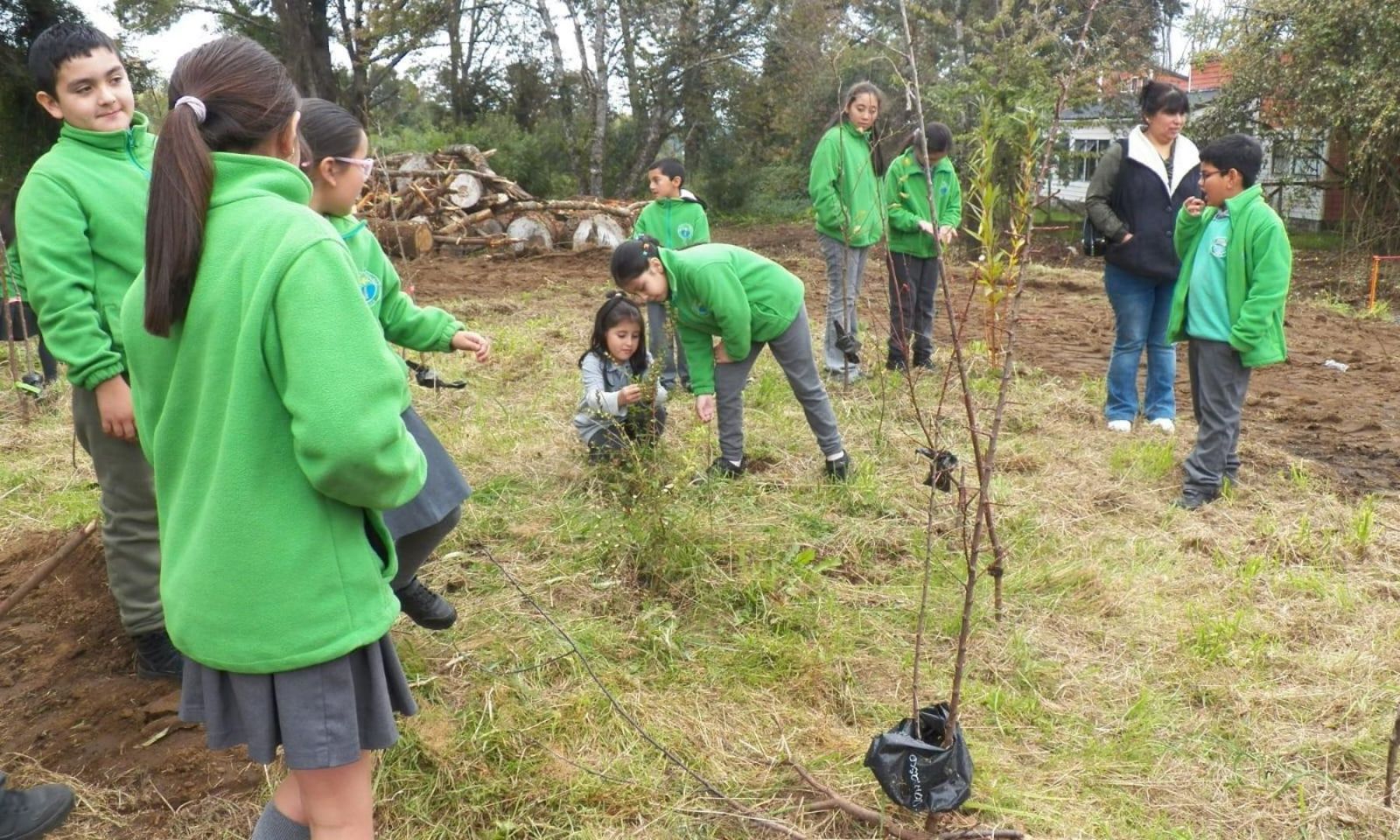 Escuela rural de Puyehue impulsa proyecto ambiental que destaca a nivel regional