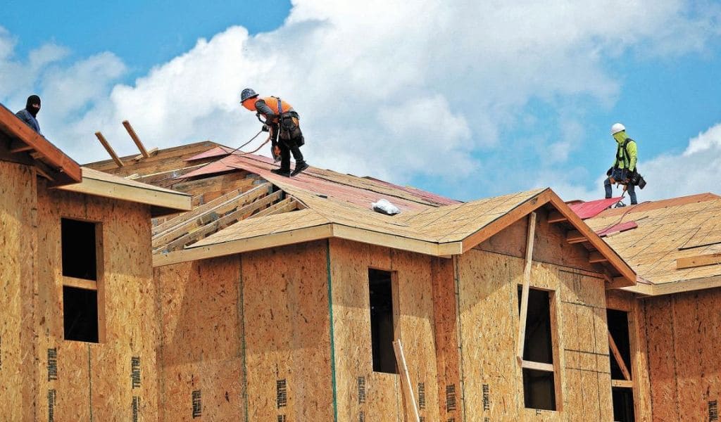 Lightweight Construction: Key to a Sustainable Future with Wood