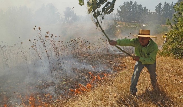 Lawmakers Demand Progress on "Short Fire Law" Processing