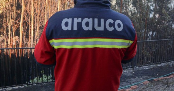 Armed Hooded Man Threatens and Robs Forestal Arauco Brigade in Curanilahue