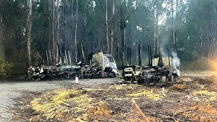 Forestry contractors report 19 arson attacks this year with losses amounting to $8.225 billion.