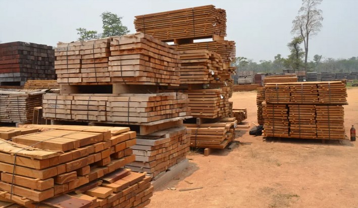 Forestry boost positions Ñuble among regions with highest export growth in the country