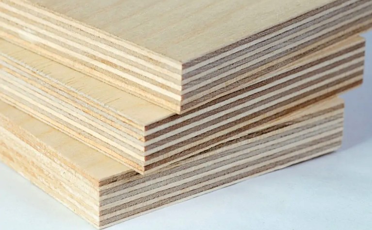 Precios de productos forestales registran bajas generalizadas en junio y acumulan cuatro años de retrocesos