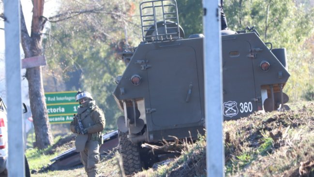 Blow to Illegal Timber Trafficking: Operation in Victoria Ends with 9 Arrests