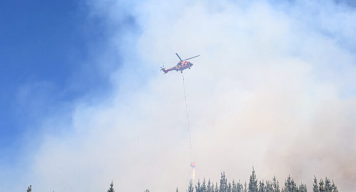 Concern in the Biobío Region Over Clear Evidence of Intentional Forest Fires