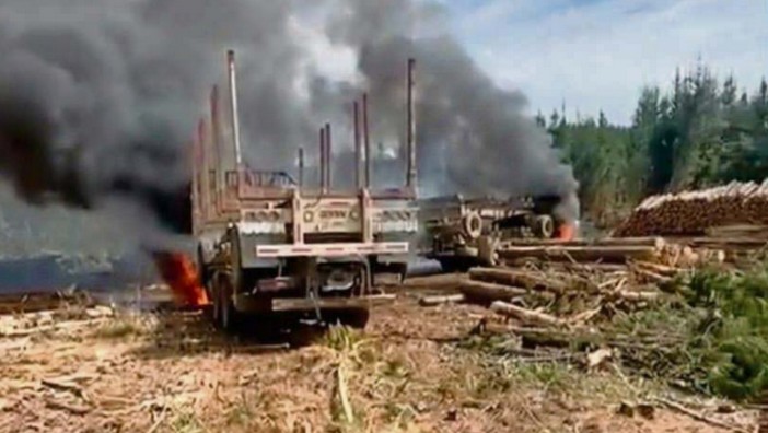 Forestry Contractors Claim Terrorist Activity Has Become Normalized