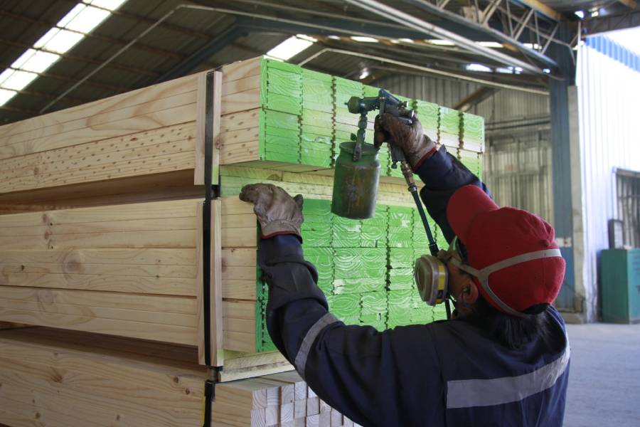 Ñuble: Wood exports show signs of recovery during September