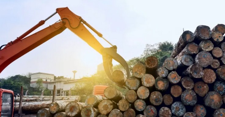 Forestry Contractors Detail Threats Affecting the Sector: "The Outlook Is Not Encouraging"