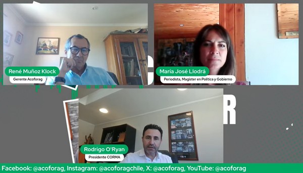 Rodrigo O’Ryan, presidente de Corma, cuestionó baja efectividad en investigación de incendios