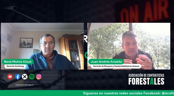 Sustainable Fashion: Arauco Drives the Textile Revolution in Milan