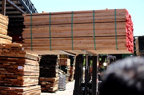 Arauco and CMPC consolidate as leaders in attracting and retaining talent in the forestry sector