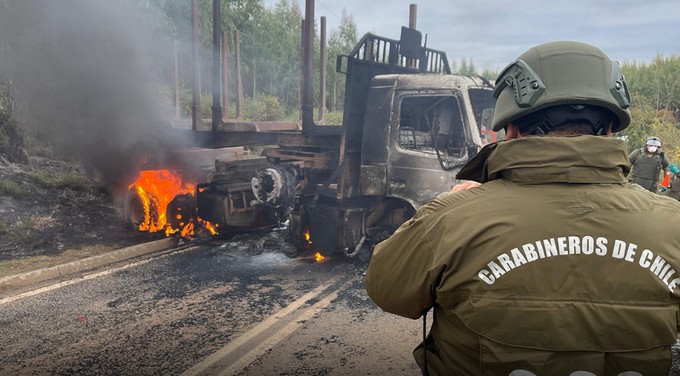 Estudio UDD revela que sector forestal tuvo pérdidas por US$ 124 millones por atentados entre 2019 y 2024