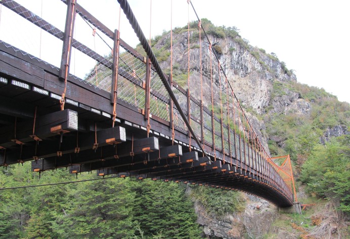 Madera nativa: el pilar oculto de puentes y ferrocarriles