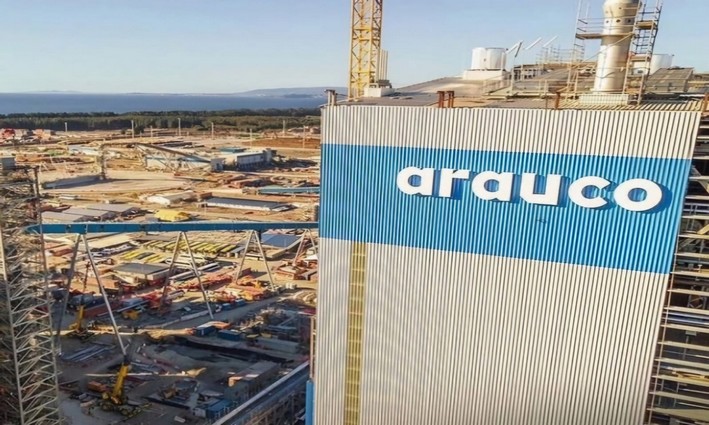 Arauco Drives $4.6 Billion Pulp Megaproject in Brazil