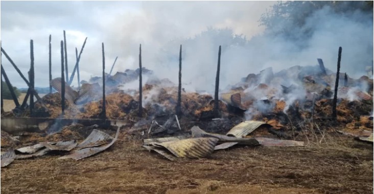 Ataque incendiario en fundo de La Unión: se estiman pérdidas por $500 millones