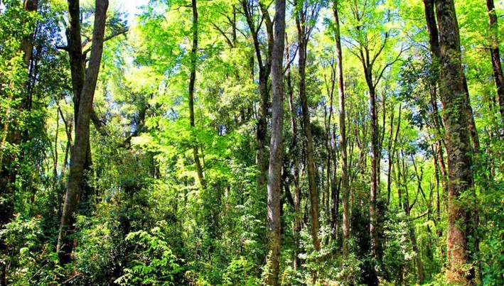 This Is Not an Eco-Friendly Product