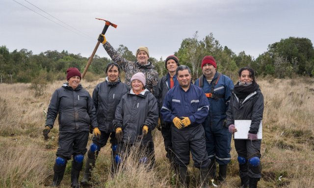 Puerto Varas se prepara para restaurar seu bosque urbano com maciça jornada de plantio de árvores nativas