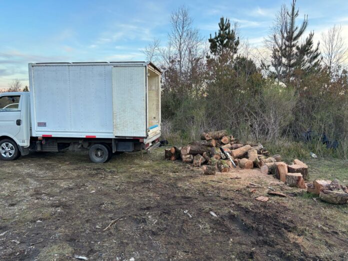 Municipio de Valdivia evalúa acciones legales por daños en el Santuario de la Naturaleza Llancahue