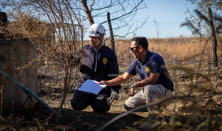 PDI Deploys Expert Detectives to Investigate Origin of Forest Fires in Ñuble