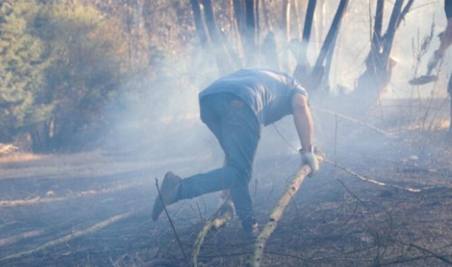 One Arrested for Starting Forest Fire in Los Álamos