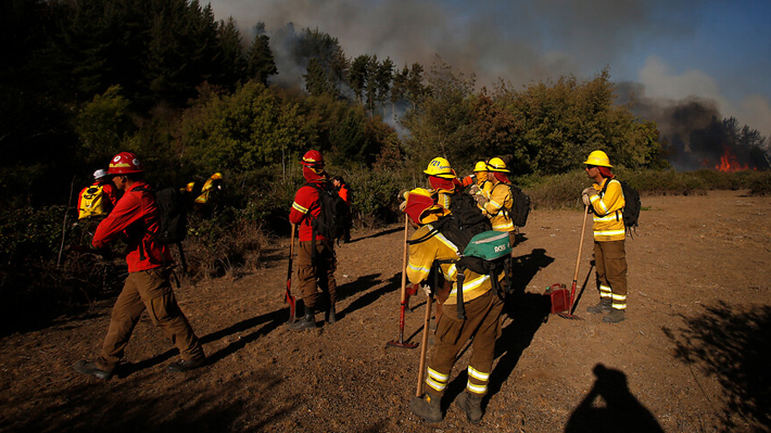 Brigadista que combatía incendio es herido por perdigón en La Araucanía