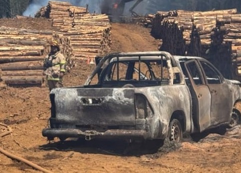 Association of Forestry Engineers Stands in Solidarity with Acoforag Amid Escalation of Terrorist Attacks