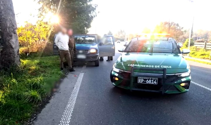 Carabineros detiene a dos personas por robo de madera en San José de la Mariquina