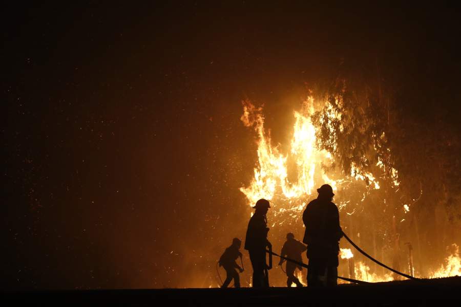 Rains and greater vegetation growth anticipate a complex scenario for forest fires in Ñuble