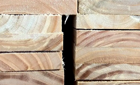 Chilean forestry industry increased its wood consumption and production of pulp and sawn wood in 2025