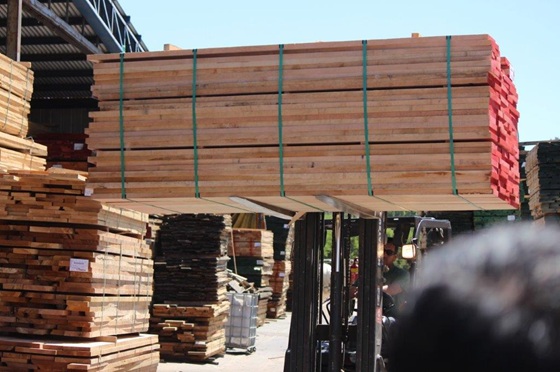 Exportaciones forestales acumulan US$2.254 millones a mayo y evidencian escenario desafiante para el sector