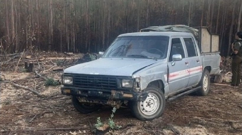 Detuvieron a un sujeto que estaba robando madera desde un predio forestal en Curanilahue