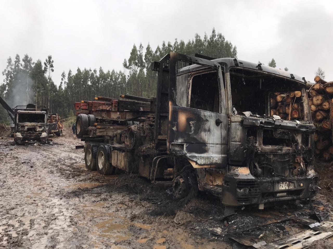 La realidad de la cobertura de seguros para camiones y maquinarias forestales de la macrozona sur de Chile
