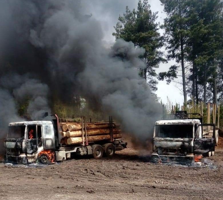 Estado tiene hasta el 20 de octubre para responder demanda de contratistas forestales