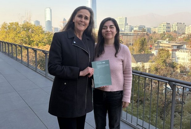 UC academics participate in scientific guide for building with wood