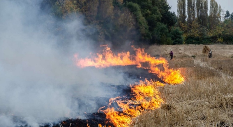 Burn restriction lifted in Ñuble: PDA allows it only until April 15