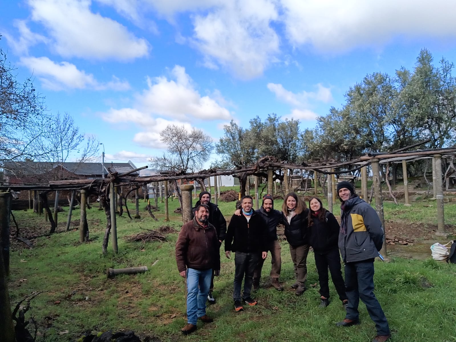 160-year-old vines and oak beams born more than eight centuries ago: wood reveals the history of Chilean wine