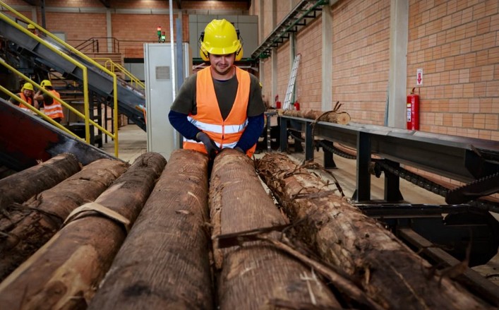 Biobío's Exports Fall 31.5% in December 2025, Closing the Year with a Sharp Decline