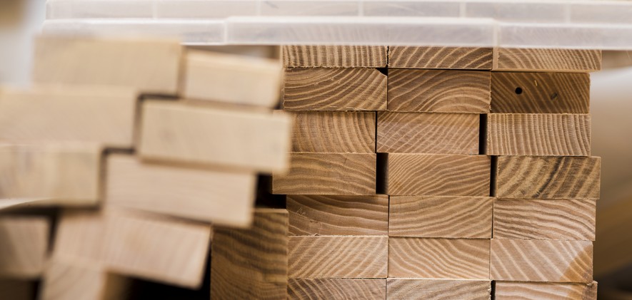 PymeMad: "The State Abandoned Small and Medium Landowners in Forestry Development"