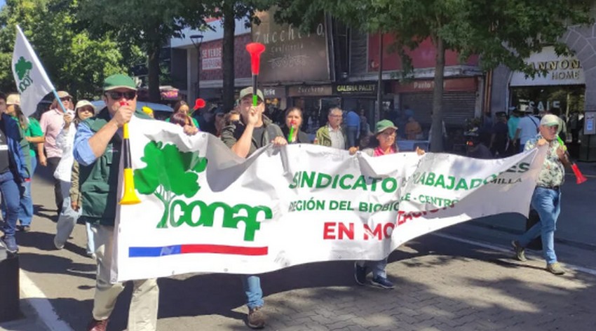 Conaf Biobío Workers Warn of Indefinite Strike If Their Demands Are Not Met