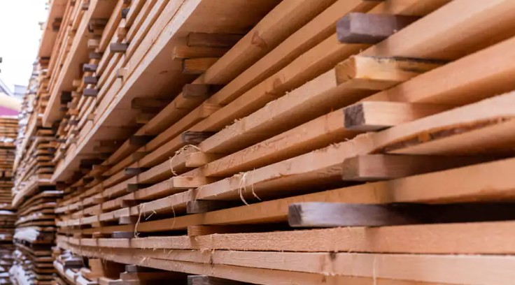 New U.S. tariffs on Chilean timber strain US$1.18 billion in shipments