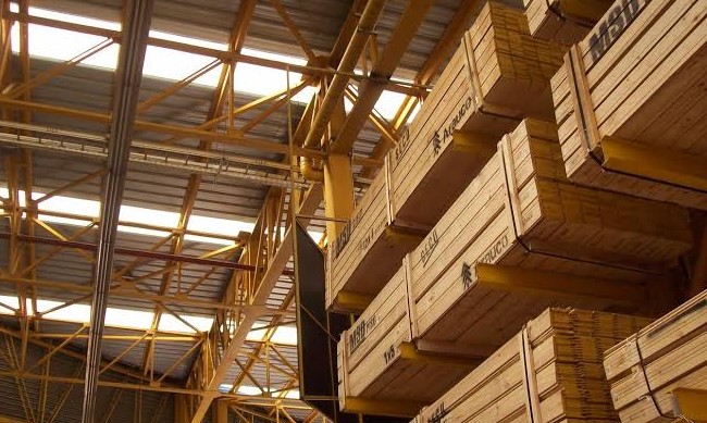 Exportaciones forestales del Biobío crecieron 7,8% en agosto y alcanzaron US$ 211,1 millones