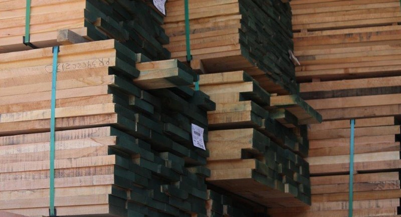 Forestry exports decrease 33.8% in February in Los Ríos