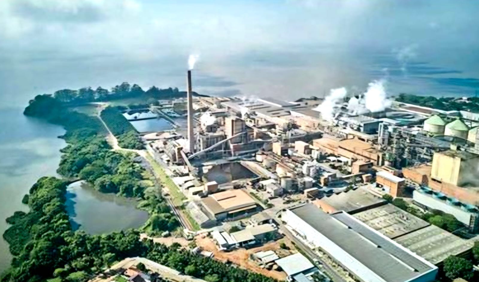 CMPC obtains prior environmental license for new project in Brazil