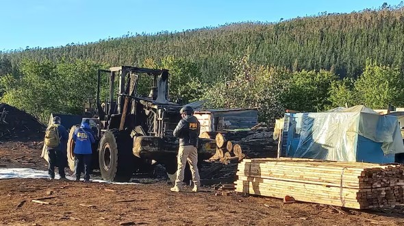 New Arson Attack Affects Sawmill in Cañete with Two Machines Destroyed
