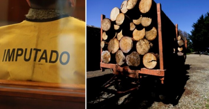 Preventive Detention Upheld for Suspect Accused of Timber Theft and Illegal Possession of Weapons and Ammunition