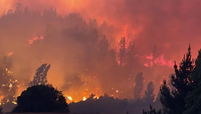 Biobío Maintains High Risk of Forest Fires Despite Current Positive Figures