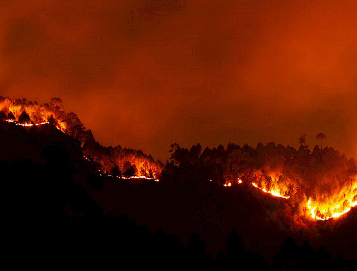 Incendios Forestales y Carbono Neutralidad para Chile