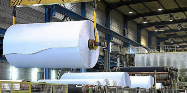 Setor florestal contribui com US$ 74 milhões às exportações do Biobío em junho e mantém protagonismo regional